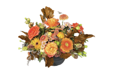 Tuscan Sunset - A radiant celebration of the autumn season —Tuscan Sunset features a rich palette of burnt orange, amber and golden tones, artfully arranged in our signature Amalfi ceramic vase. This design blends roses, gerberas and seasonal textural blooms with warm foliage and miniature gourds for a truly artisanal, harvest-inspired creation.
Perfect as a statement centrepiece, seasonal gift, or to bring an elegant warmth into the home.
