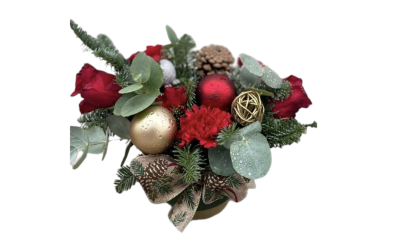 Evergreen Joy - Bring the magic of Christmas indoors with Evergreen Joy, a festive arrangement designed to add warmth and colour to any space. Presented in a stylish green ceramic pot (10.5 × 10.5 cm), this compact design is perfect for gifting or decorating smaller areas.
Lush noble fir and seasonal greenery are paired with rich red roses and carnations, soft eucalyptus, a natural pine cone, and rustic wicker accents. Shimmering gold and red baubles and a decorative festive ribbon complete the look, creating a beautiful balance of tradition and elegance.
Ideal for coffee tables, desks, sideboards, or as a thoughtful Christmas gift that brings instant evergreen charm and holiday joy.
