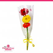 A bouquet of 3 Gerbera - wrapped